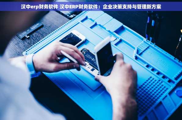 汉中erp财务软件 汉中ERP财务软件：企业决策支持与管理新方案