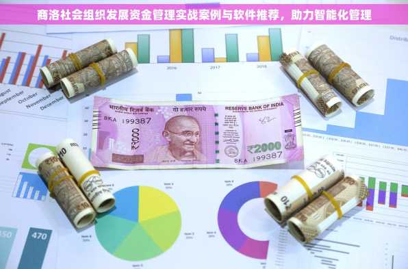 商洛社会组织发展资金管理实战案例与软件推荐，助力智能化管理