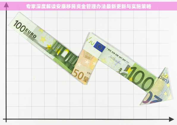 专家深度解读安康移民资金管理办法最新更新与实施策略