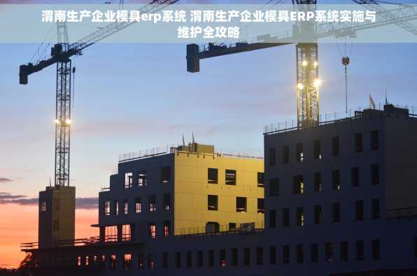 渭南生产企业模具erp系统 渭南生产企业模具ERP系统实施与维护全攻略