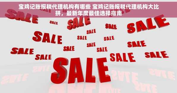 宝鸡记账报税代理机构有哪些 宝鸡记账报税代理机构大比拼，最新年度最佳选择指南