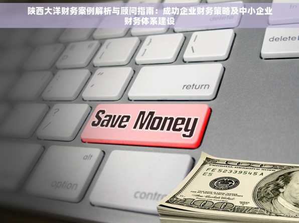 陕西大洋财务案例解析与顾问指南：成功企业财务策略及中小企业财务体系建设