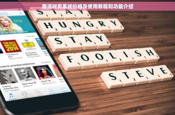 商洛财务系统价格及使用教程和功能介绍