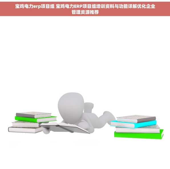宝鸡电力erp项目组 宝鸡电力ERP项目组培训资料与功能详解优化企业管理资源推荐