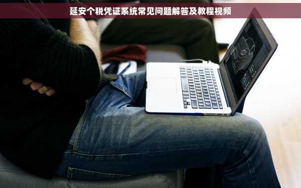 延安个税凭证系统常见问题解答及教程视频
