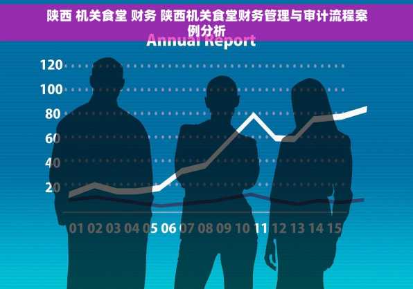 陕西 机关食堂 财务 陕西机关食堂财务管理与审计流程案例分析