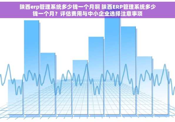 陕西erp管理系统多少钱一个月啊 陕西ERP管理系统多少钱一个月？评估费用与中小企业选择注意事项