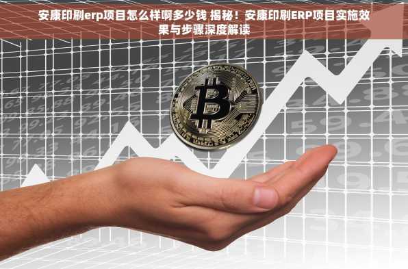 安康印刷erp项目怎么样啊多少钱 揭秘！安康印刷ERP项目实施效果与步骤深度解读