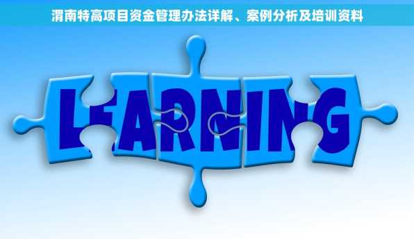 渭南特高项目资金管理办法详解、案例分析及培训资料