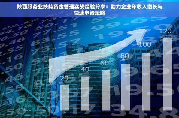 陕西服务业扶持资金管理实战经验分享：助力企业年收入增长与快速申请策略