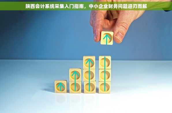 陕西会计系统采集入门指南，中小企业财务问题迎刃而解