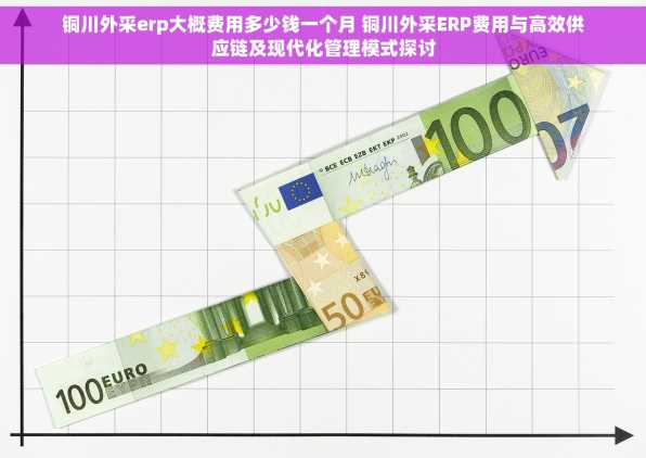 铜川外采erp大概费用多少钱一个月 铜川外采ERP费用与高效供应链及现代化管理模式探讨
