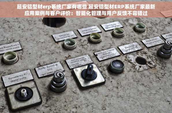 延安铝型材erp系统厂家有哪些 延安铝型材ERP系统厂家最新应用案例与客户评价：智能化管理与用户反馈不容错过
