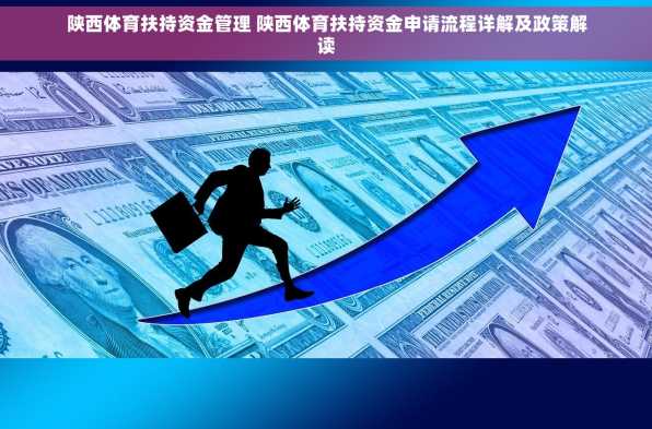 陕西体育扶持资金管理 陕西体育扶持资金申请流程详解及政策解读