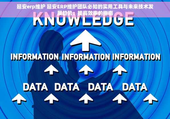 延安erp维护 延安ERP维护团队必知的实用工具与未来技术发展趋势：提高效率的指南