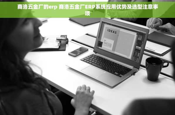 商洛五金厂的erp 商洛五金厂ERP系统应用优势及选型注意事项
