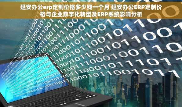 延安办公erp定制价格多少钱一个月 延安办公ERP定制价格与企业数字化转型及ERP系统影响分析