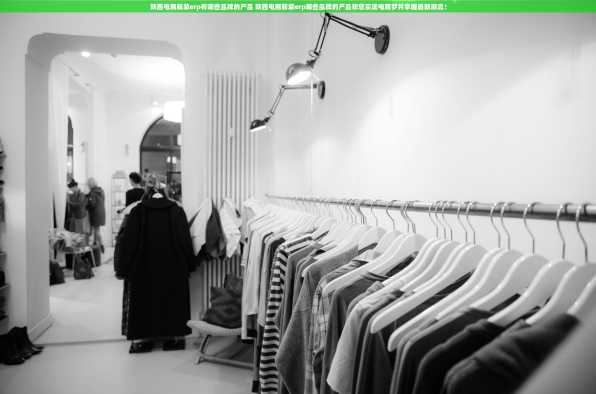 陕西电商服装erp有哪些品牌的产品 陕西电商服装erp哪些品牌的产品帮您实现电商梦并掌握最新潮流！