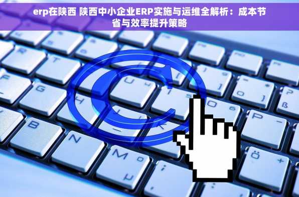 erp在陕西 陕西中小企业ERP实施与运维全解析：成本节省与效率提升策略