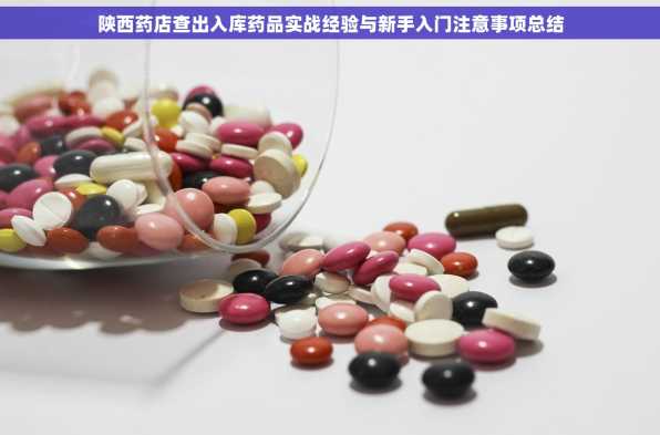 陕西药店查出入库药品实战经验与新手入门注意事项总结