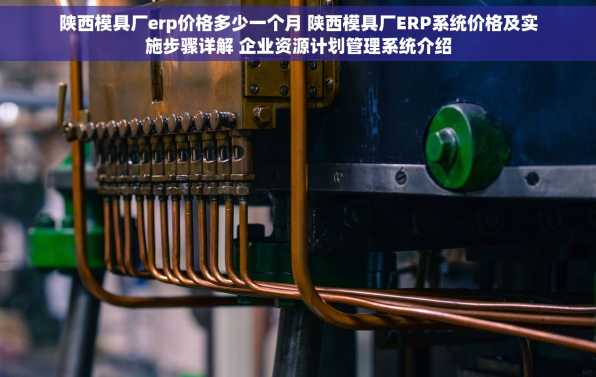 陕西模具厂erp价格多少一个月 陕西模具厂ERP系统价格及实施步骤详解 企业资源计划管理系统介绍