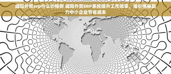 咸阳外贸erp什么价格啊 咸阳外贸ERP系统提升工作效率，报价揭秘助力中小企业节省成本