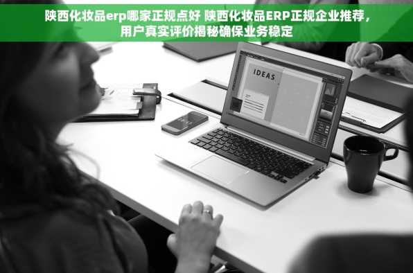 陕西化妆品erp哪家正规点好 陕西化妆品ERP正规企业推荐，用户真实评价揭秘确保业务稳定