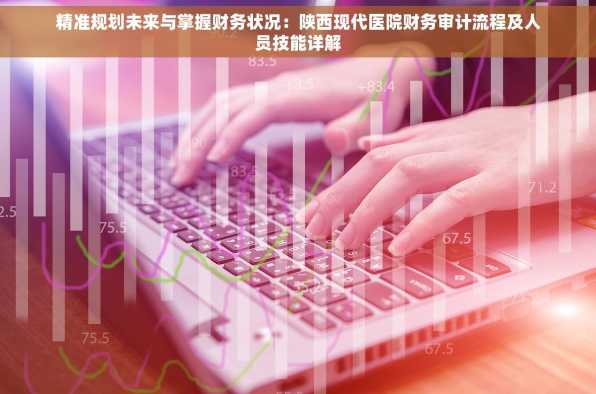 精准规划未来与掌握财务状况：陕西现代医院财务审计流程及人员技能详解