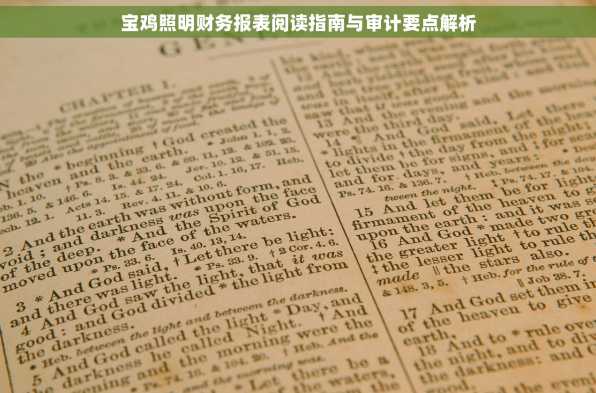 宝鸡照明财务报表阅读指南与审计要点解析