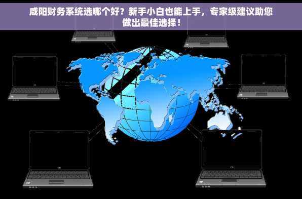 咸阳财务系统选哪个好？新手小白也能上手，专家级建议助您做出最佳选择！
