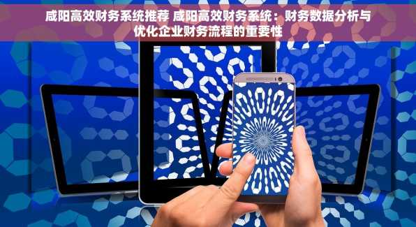 咸阳高效财务系统推荐 咸阳高效财务系统：财务数据分析与优化企业财务流程的重要性