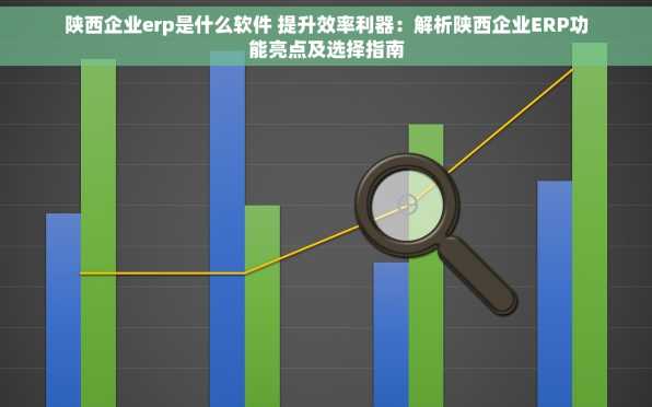 陕西企业erp是什么软件 提升效率利器：解析陕西企业ERP功能亮点及选择指南