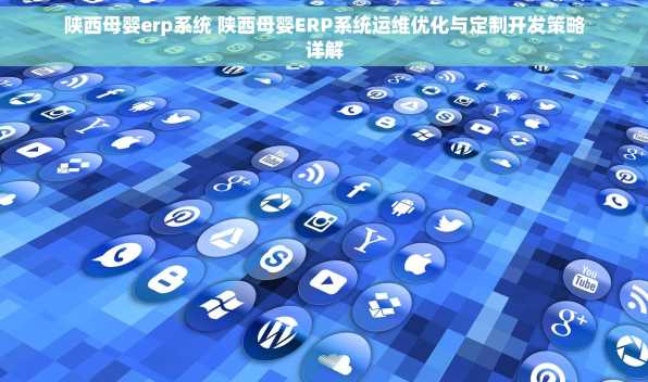 陕西母婴erp系统 陕西母婴ERP系统运维优化与定制开发策略详解