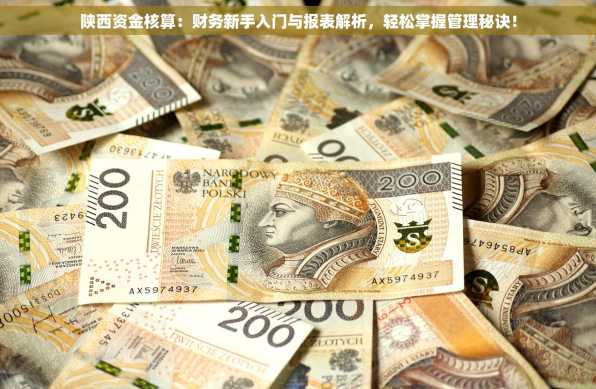 陕西资金核算：财务新手入门与报表解析，轻松掌握管理秘诀！