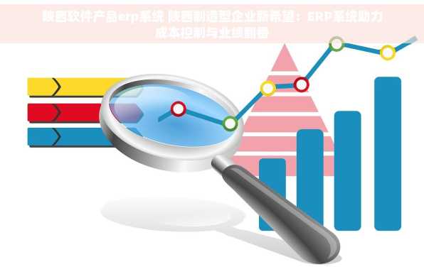 陕西软件产品erp系统 陕西制造型企业新希望：ERP系统助力成本控制与业绩翻番