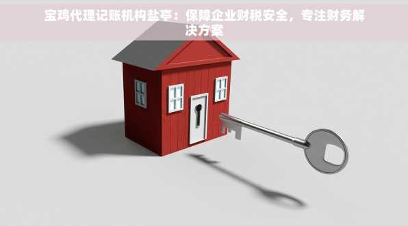 宝鸡代理记账机构盐亭：保障企业财税安全，专注财务解决方案