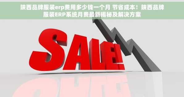 陕西品牌服装erp费用多少钱一个月 节省成本！陕西品牌服装ERP系统月费最新揭秘及解决方案