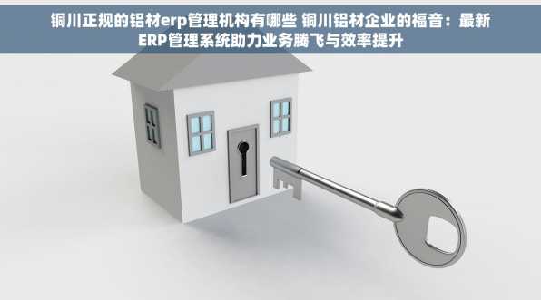 铜川正规的铝材erp管理机构有哪些 铜川铝材企业的福音：最新ERP管理系统助力业务腾飞与效率提升