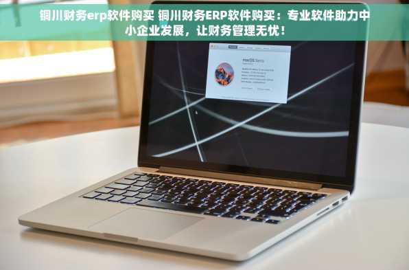 铜川财务erp软件购买 铜川财务ERP软件购买：专业软件助力中小企业发展，让财务管理无忧！