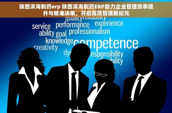 陕西滨海制药erp 陕西滨海制药ERP助力企业管理效率提升与精准决策，开启高效管理新纪元