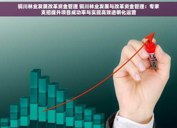 铜川林业发展改革资金管理 铜川林业发展与改革资金管理：专家支招提升项目成功率与实现高效透明化运营