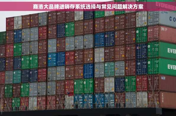 商洛大品牌进销存系统选择与常见问题解决方案