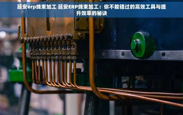 延安erp线束加工 延安ERP线束加工：你不能错过的高效工具与提升效率的秘诀