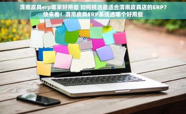 渭南皮具erp哪家好用些 如何挑选最适合渭南皮具店的ERP？快来看！渭南皮具ERP系统选哪个好用些