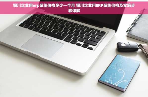 铜川企业用erp系统价格多少一个月 铜川企业用ERP系统价格及实施步骤详解
