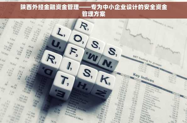 陕西外经金融资金管理——专为中小企业设计的安全资金管理方案