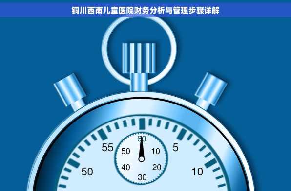 铜川西南儿童医院财务分析与管理步骤详解