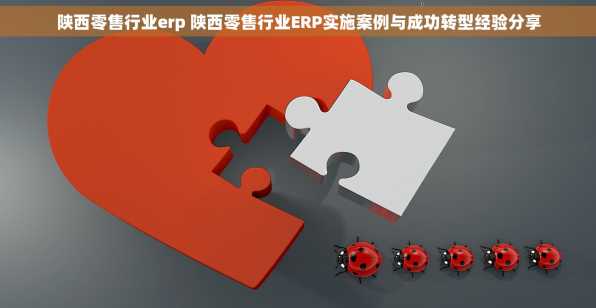 陕西零售行业erp 陕西零售行业ERP实施案例与成功转型经验分享