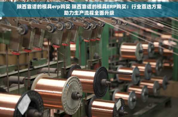 陕西靠谱的模具erp购买 陕西靠谱的模具ERP购买：行业首选方案助力生产流程全面升级