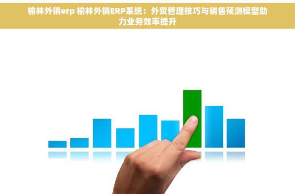 榆林外销erp 榆林外销ERP系统：外贸管理技巧与销售预测模型助力业务效率提升